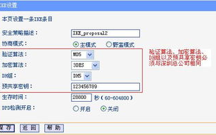 如何正确使用VPN配置工具进行安全设置？