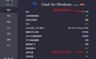 Clash配置教程中如何设置代理规则？求详细步骤指导！