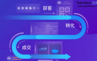 软件下载合集企业版有哪些版本？如何选择适合我公司的版本？