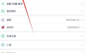 爱奇艺使用教程中如何设置播放列表？
