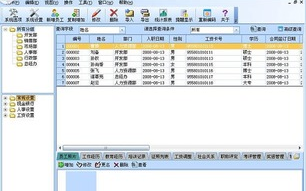 人事管理软件下载时，如何选择适合自己的版本？