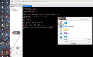 Linux开发软件下载，如何选择适合自己的开发工具？