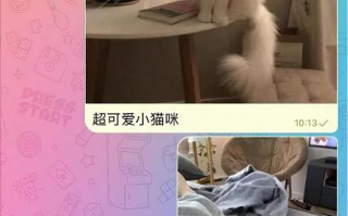 Telegram应用生态资讯有哪些最新动态和发展趋势？