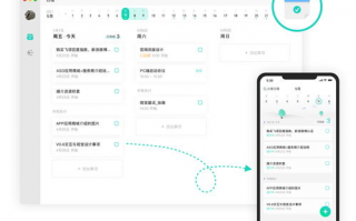 如何高效使用WPS文档协作功能提高团队合作效率？