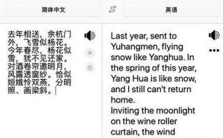 如何从翻译软件下载合集中挑选最适合我的翻译工具？