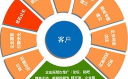 隐私保护软件行业资讯：如何选择最有效的长尾关键词优化策略？