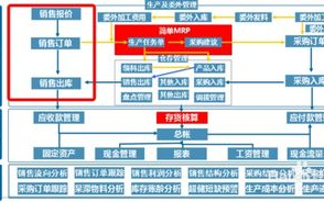 财务软件下载时，如何选择适合自己公司的版本？