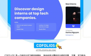 如何全面解析应用功能以提升使用效率？
