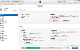 备份软件下载时，如何选择适合个人需求的免费长尾备份工具？