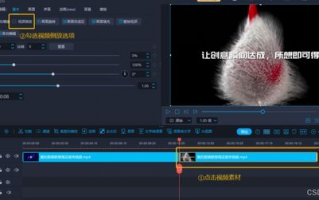 什么是适合新手的高清视频软件下载推荐？