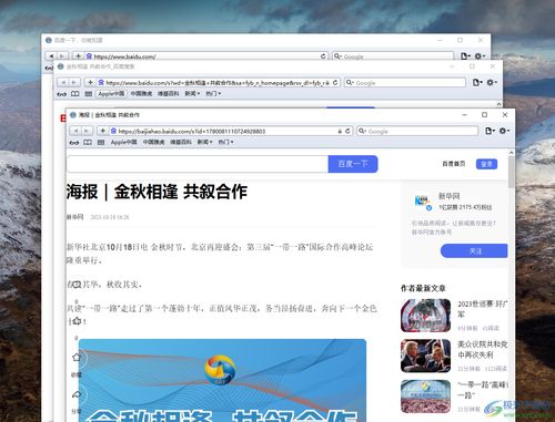 Safari浏览器使用教程中如何设置隐私保护，防止个人信息泄露？ 第3张