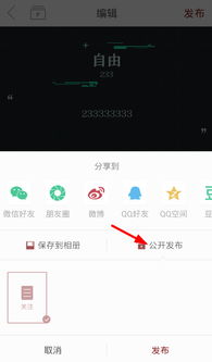Telegram使用教程中如何设置隐私保护功能? 第3张 Telegram使用教程中如何设置隐私保护功能? 第3张