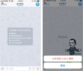Telegram电脑版怎么下载最便捷？ 第1张