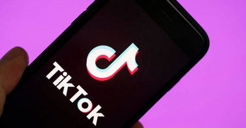 如何高效使用TikTok？新手必看‘TikTok使用教程’解答疑问！ 第3张