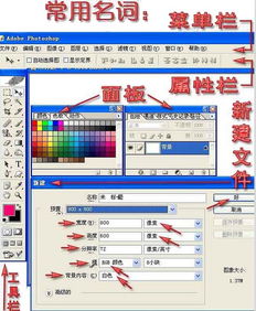 软件下载新功能资讯中，有哪些实用的小技巧或隐藏功能是新手容易忽略的？ 第1张