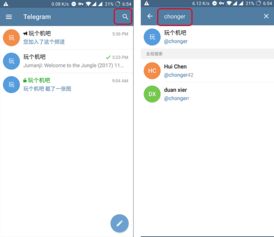 Telegram绿色版下载官方渠道有哪些？ 第3张