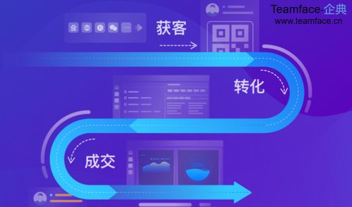 软件下载合集企业版有哪些版本？如何选择适合我公司的版本？ 第1张