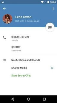 在哪里可以免费下载Telegram的旧版本？ 第1张