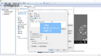 VMware使用教程中，如何高效配置虚拟机网络？ 第3张