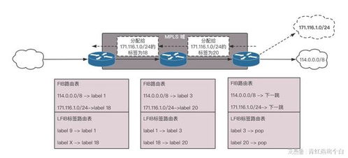 如何快速安全地下载VPN节点工具？ 第3张