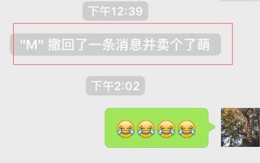 如何在Telegram中撤回已发送的消息？ 第1张