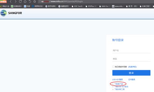 VPN客户端下载安装的详细步骤有哪些？ 第2张