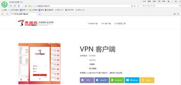 VPN客户端下载安装的详细步骤有哪些？ 第3张