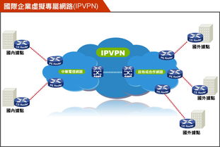 VPN用户增长趋势背后的主要推动因素有哪些？ 第1张