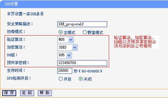如何正确使用VPN配置工具进行安全设置？ 第1张
