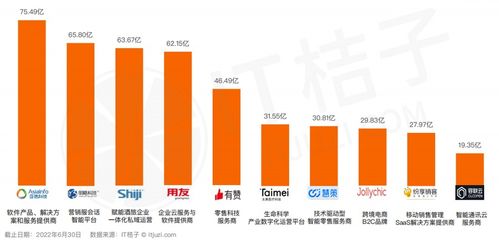 软件开发市场研究有哪些最新趋势和潜在机会? 第2张 软件开发市场研究有哪些最新趋势和潜在机会? 第2张