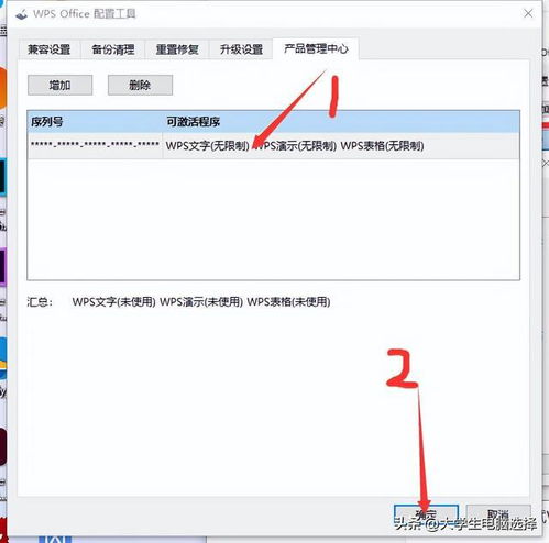 如何一步步完成WPS软件的安装与设置流程？ 第2张
