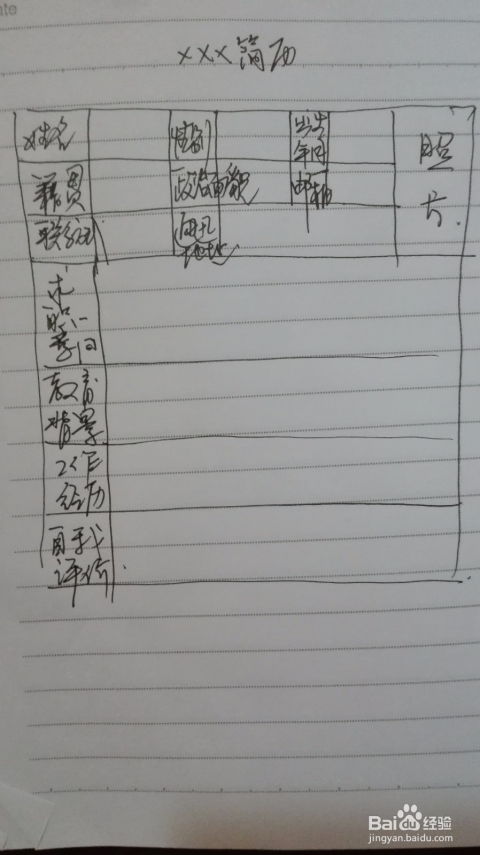 如何高效制作漂亮的Word表格？ 第3张