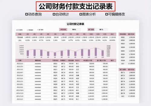 如何高效应用Excel财务表格进行数据分析与管理？ 第1张