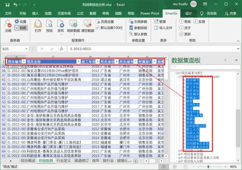 如何用Excel进行详细的统计分析和数据处理技巧？ 第3张