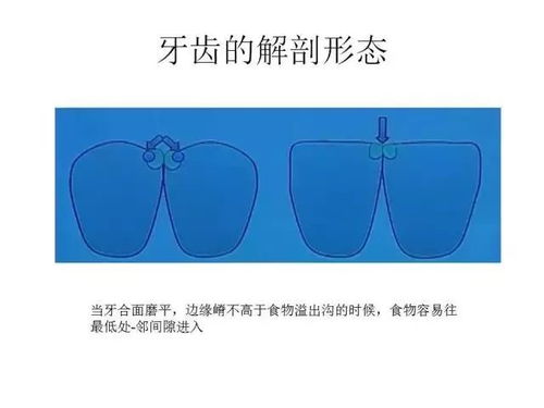 应用常见问题如何快速高效解决？ 第2张