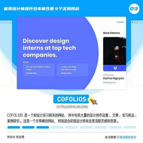 如何全面解析应用功能以提升使用效率？ 第1张