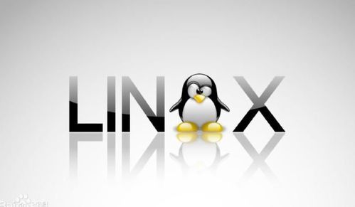 Linux软件下载有哪些途径？如何高效找到适合自己需求的软件？ 第2张