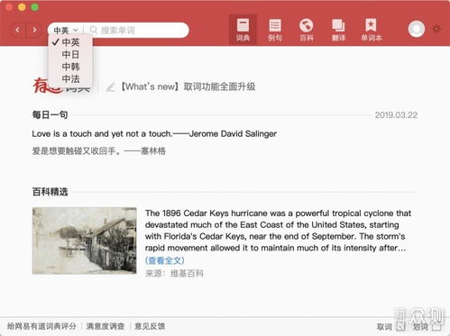如何从翻译软件下载合集中挑选最适合我的翻译工具？ 第2张