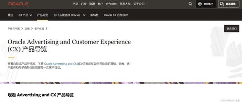 2024年最受欢迎的应用软件排行有哪些？ 第2张