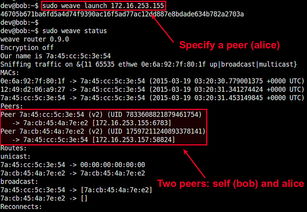 Docker使用教程中,如何高效配置容器网络和存储? 第3张 Docker使用教程中,如何高效配置容器网络和存储? 第3张