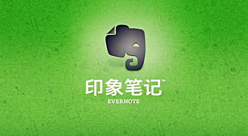 如何高效使用印象笔记国际版？新手必看使用教程解析！ 第1张