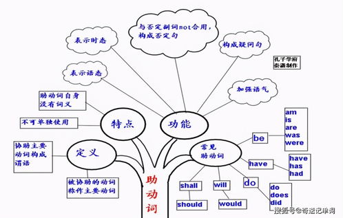 思维导图软件下载，有没有推荐的免费长尾词版？适合初学者的操作简单吗？ 第2张