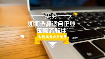 财务软件下载时，如何选择适合自己公司的版本？ 第2张