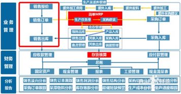 财务软件下载时，如何选择适合自己公司的版本？ 第1张