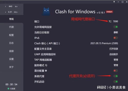 Clash配置教程中如何设置代理规则？求详细步骤指导！ 第1张