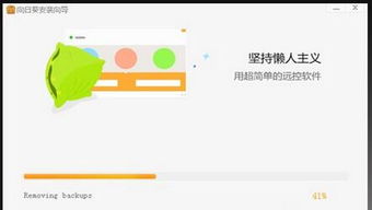 向日葵远程使用教程中，如何设置账户权限及远程连接？ 第1张