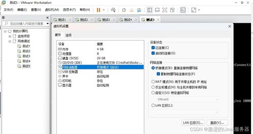 VMware使用教程中，如何设置虚拟机网络连接？ 第3张