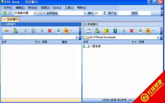 Zalo软件下载合集里，有没有包含最新版本和不同语言版本的下载链接？ 第2张