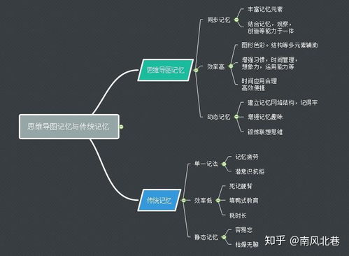 思维导图软件下载，有适合初学者的免费版吗？ 第1张