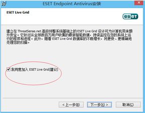 安全软件下载时如何选择可靠的版本，避免潜在风险？ 第2张